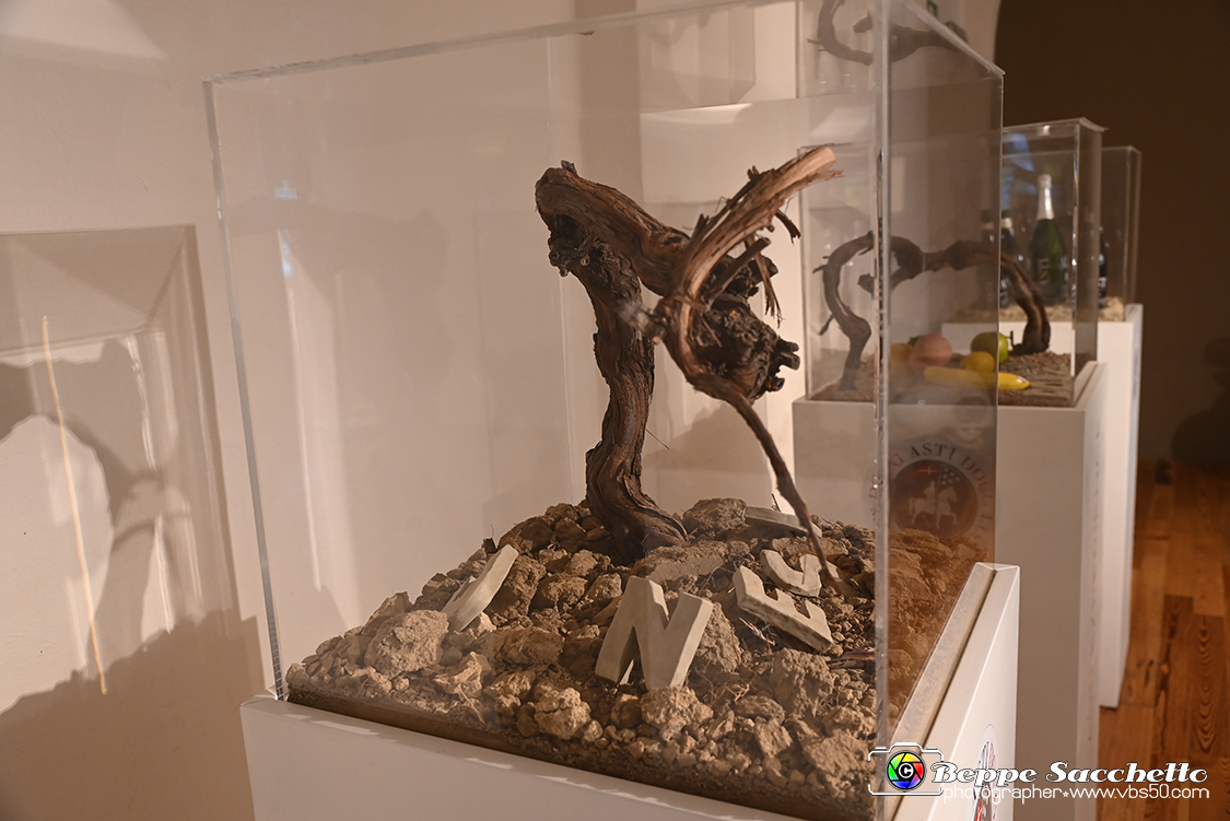 VBS_5041 - Novanta Anni di Bollicine Asti Spumante - Moscato d'Asti.jpg